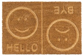 Rohožka z kokosového vlákna 40x60 cm Salute – Casa Selección