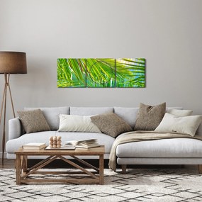 Obraz - Palmové listy (s hodinami) (90x30 cm)