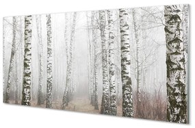 Sklenený obraz hmla breza 125x50 cm
