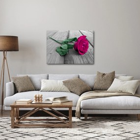 Obraz - Ružová ruža so zelenou stonkou (70x50 cm)
