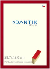 DANTIK rám na obraz 29,7x42 | PERLA červená lesklá vysoká (Plexi Čiré)