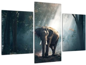 Obraz slona v džungli (90x60 cm)