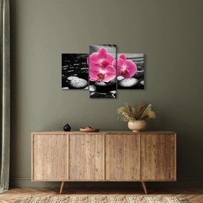 Obraz - Ružové orchidey (90x60 cm)