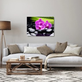 Sklenený obraz - Orchidey (70x50 cm)