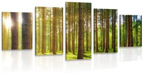 5-dielny obraz ráno v lese Varianta: 100x50