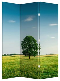 Paraván - Strom na lúke (126x170 cm)