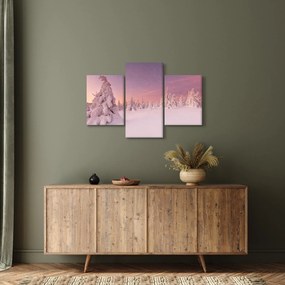 Obraz - Stromy pod snehovou prikrývkou (90x60 cm)