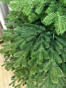 Smrek Tirolský 3D- 280cm