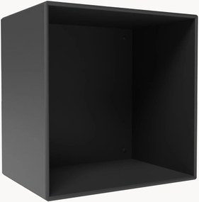 Modul Mini 1001