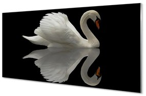 Obraz na akrylátovom skle Swan v noci 125x50 cm