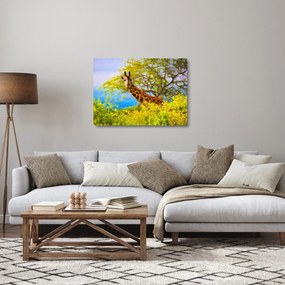 Sklenený obraz žirafy v Afrike (70x50 cm)
