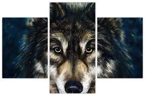 Obraz - Vlk (90x60 cm)