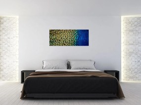 Obraz - Pávie perie (120x50 cm)