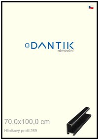 DANTIK rám na obraz 70x100 | ALU Černá lesklá (Plexi Čiré)