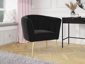 Čalúnené kreslo Rimilo, Dostupné poťahy: Magic Velvet 2219