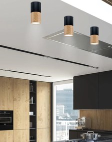 Candellux - Stropná lampa, čierna