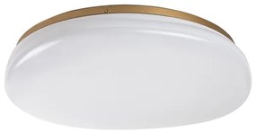 Rabalux 75053 - LED kúpeľňové stropné svietidlo CALIOPE LED/24W/230V IP44 pr. 41 cm