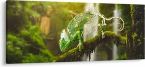 Obraz chameleóna (120x50 cm)