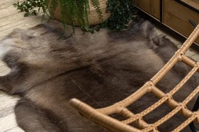 Koberec RENIFER POK010 hnedý