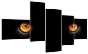 Zvieracie oči - obraz