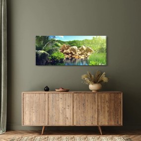 Obraz jazera v Seychelskej džungli (120x50 cm)
