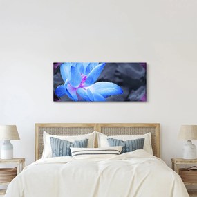 Obraz kvetu v detaile (120x50 cm)