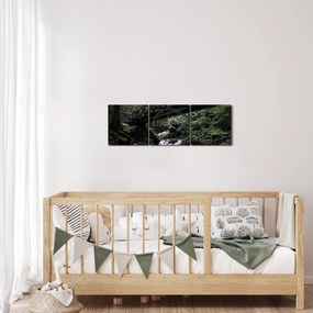Obraz z čierneho lesa (s hodinami) (90x30 cm)