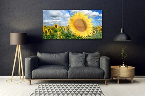 Obraz plexi Slnečnica kvet rastlina 120x60 cm