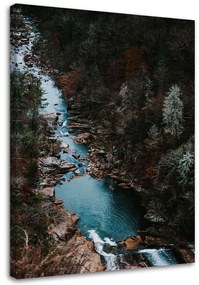 Obraz na plátně Lesní potok Hory Příroda - 80x120 cm