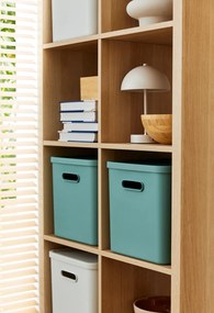 Rotho Úložný box, rovný s víkom, 27l, matná zelená ALBU LIGHT, 37x29x30