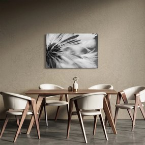 Obraz - Makro, čiernobiela (90x60 cm)