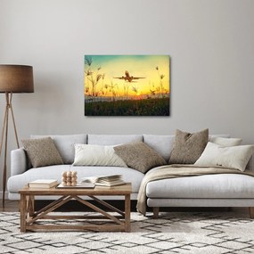 Obraz vzlietajúceho lietadla (70x50 cm)