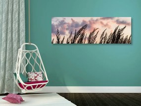 Obraz klásky dlhej trávy - 150x50