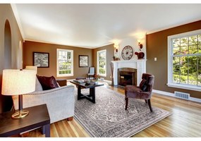 Sivý koberec 160x230 cm Soft – FD