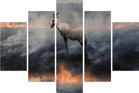 Obraz kamzíka v ohni (150x105 cm)