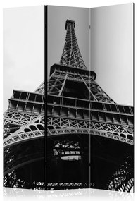 Artgeist Paraván - Paris Giant [Room Dividers]