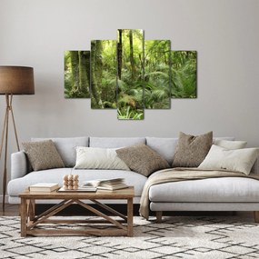 Obraz Tropický dažďový prales (150x105 cm)