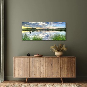 Obraz jazera s tŕstím (120x50 cm)