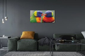 Obraz na plátne farebný papagáj 140x70 cm