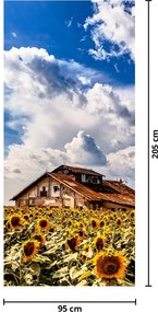 Fototapeta na dvere - Slnečnicové pole (95x205cm)