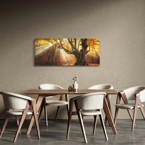 Obraz - Jesenný svit (120x50 cm)