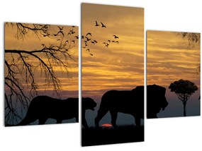Obraz Safari (90x60 cm)