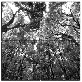 Obraz na plátne - Zelené stromy v lese - štvorec 3194QE (100x100 cm)