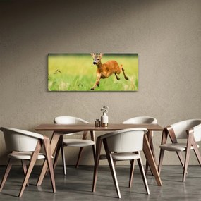 Obraz - Srnček (120x50 cm)
