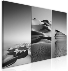 Artgeist Obraz - Desert Landscape (Collection) Veľkosť: 60x30, Verzia: Na talianskom plátne