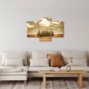 Obraz čistinky (90x60 cm)