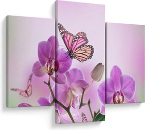 Obraz - Motýľ na kvetoch orchidey, lila (90x60 cm)