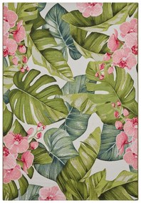 Hanse Home, Kusový koberec Flair 105615 Tropical Multicolored – na von aj na doma, 160x235, viacfarebná, chodba / predsieň