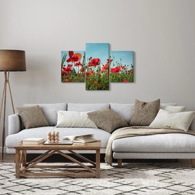 Obraz - Na poli vlčích makov (90x60 cm)