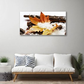 Obraz Canvas List les jeseň príroda 140x70 cm